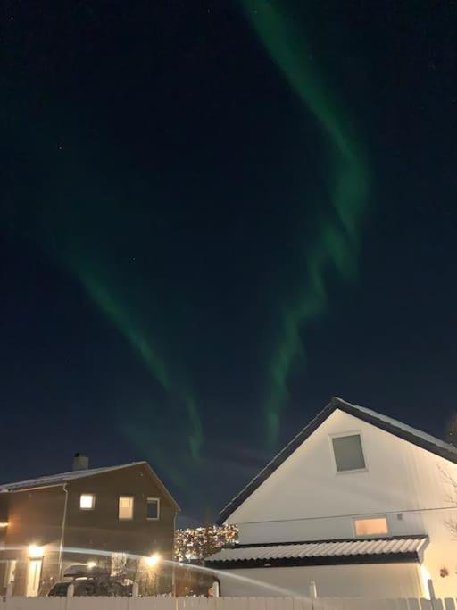 Fin Leilighet I Tromsdalen. Tromso Exterior photo
